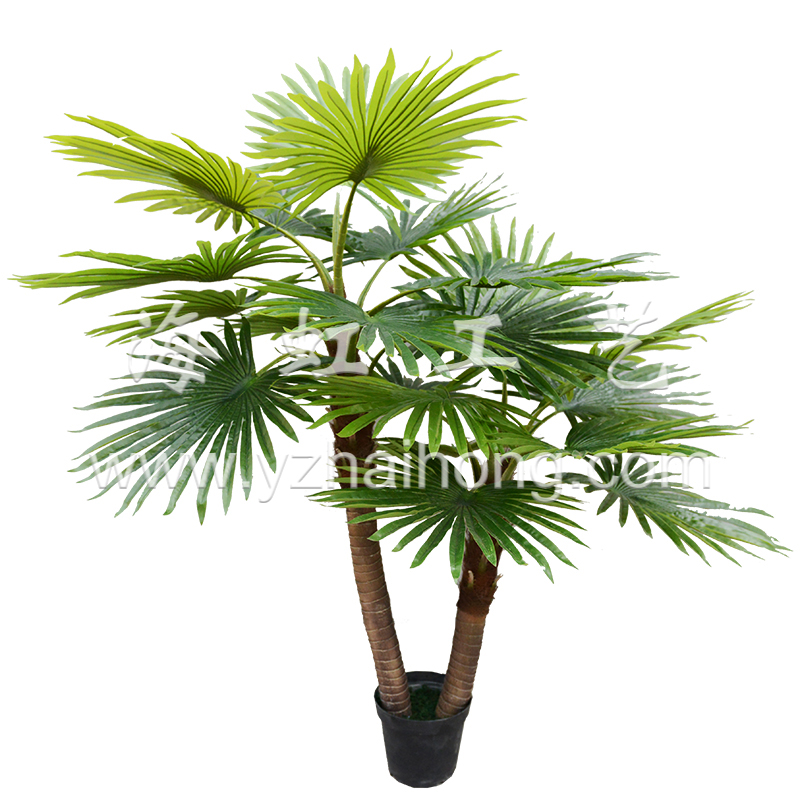 Palm tree series